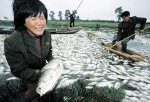 �������ˮ��Ⱦ�¼�ʼĩ ����r��ˮԴ��Ⱦ��� 