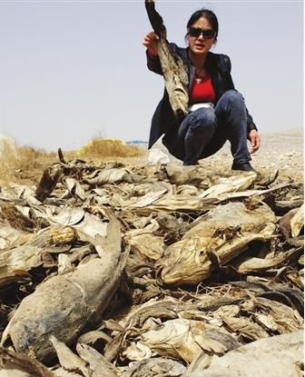 �����r(n��ng)��ïʢţ��(ch��ng)������ ��(d��o)�¸����~(y��)������e���~(y��)