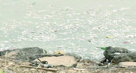 �潭�@�F���fβ���~ �O��:�ɺ�ˮ��Ⱦ���� 